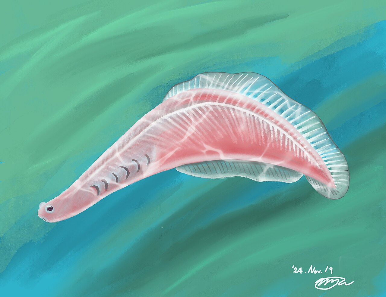 evlb-03-haikouichthys.jpg