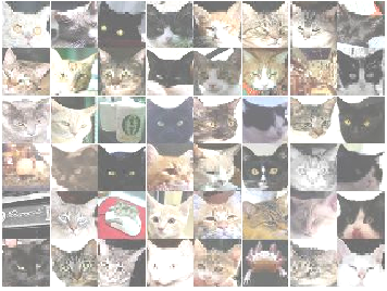 lesson09-catneuron.png